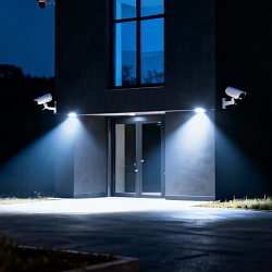 Охранное освещение: виды и особенности